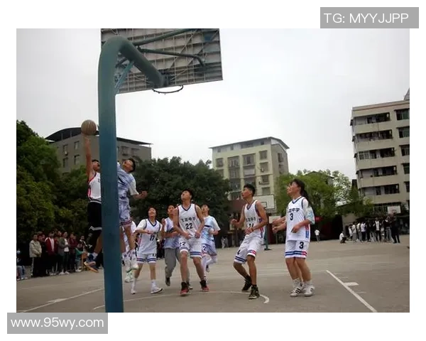 南京篮球队阵地战革新探索：重塑战术与团队协作的新篇章