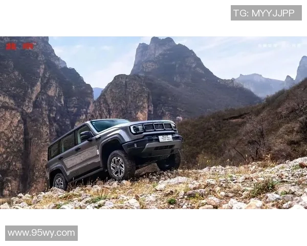 南京攀岩队的反击之路：挑战与收获的深度剖析