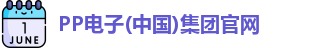 PP电子娱乐